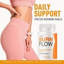 dietary-supplement-3-pack-burn-flow-caps-4.jpg
