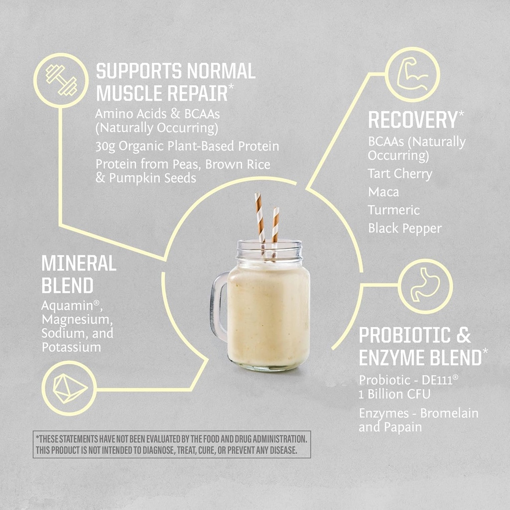 sunwarrior-active-organic-protein-powder-4.jpg