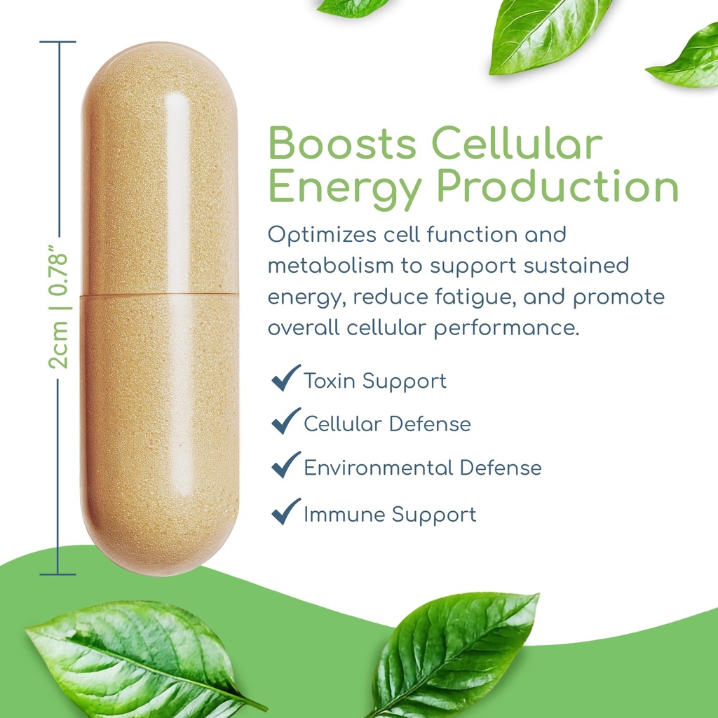 cell-nutrients-promotes-cell-and-membran-5.jpg