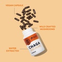 vimergy-chaga-capsules-superfood-cellula-3.jpg