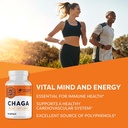 vimergy-chaga-capsules-superfood-cellula-2.jpg