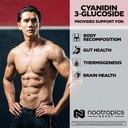 nootropics-depot-cyanidin-3-glucoside-ca-4.jpg