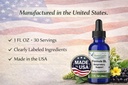 mullein-leaf-respiratory-support-drops-w-4.jpg