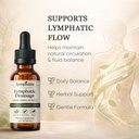 aacnre-lymphaire-lymphatic-drainage-drop-3.jpg