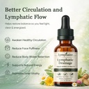 aacnre-lymphaire-lymphatic-drainage-drop-2.jpg
