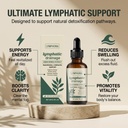 officia-lymphoria-lymphatic-drainage-dro-4.jpg