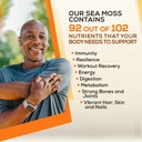 gold-sea-moss-raw-organic-makes-80oz-of--3.jpg