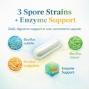 bacillus-b3-spore-based-probiotic-enzyme-2.jpg