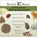 herbal-roots-brain-health-duo-organic-mu-4.jpg