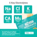 trulabs-hydrate-electrolyte-drink-mix-or-4.jpg