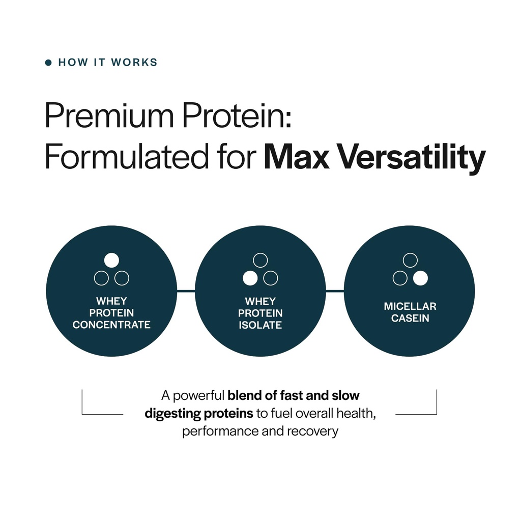 gainful-everyday-whey-protein-powder-23g-5.jpg