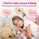 2-pack-liposomal-gaba-l-theanine-drops-f-6.jpg