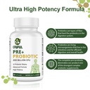 probiotics-for-women-men-200-billion-cfu-4.jpg