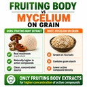 mushroom-supplement-extracts-of-lions-ma-4.jpg