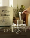 great-lakes-wellness-collagen-peptides-p-6.jpg