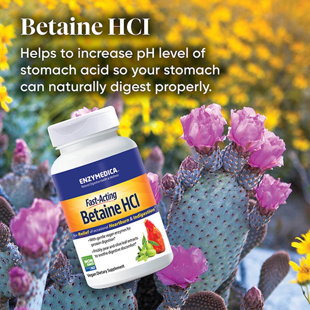enzymedica-betaine-hcl-for-men-women-bet-5.jpg