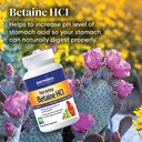 enzymedica-betaine-hcl-for-men-women-bet-5.jpg