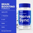 3-pack-nerve-sync-capsules-nervesync-pil-4.jpg