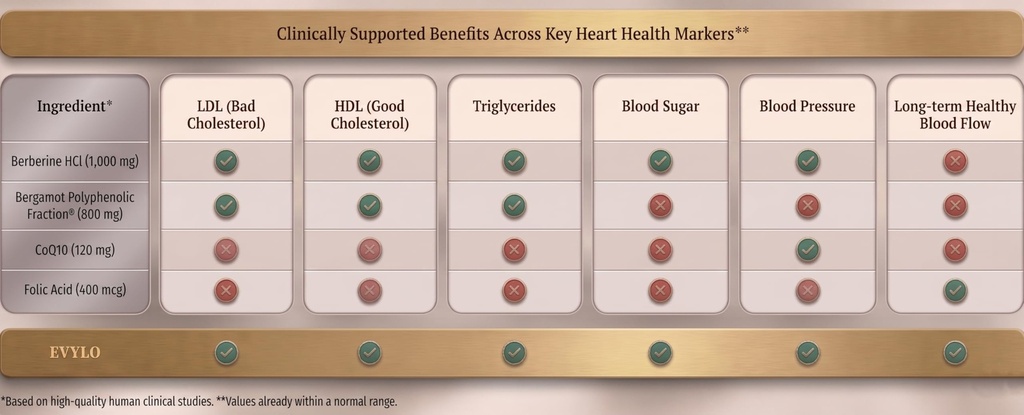 heart-health-supplement-berberine-bergam-5.jpg