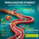 nattokinase-supplement-12-000-fu-max-str-2.jpg