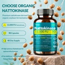 nattokinase-supplement-12-000-fu-max-str-3.jpg