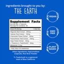 happy-healthy-hippie-glow-for-it-astaxan-4.jpg