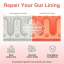 probiotics-for-gut-health-prebiotics-and-4.jpg