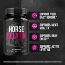 5-pack-horse-gelatin-capsules-official-h-3.jpg