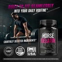 5-pack-horse-gelatin-capsules-official-h-5.jpg