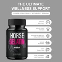 havah-horse-gelatin-advanced-overall-sup-4.jpg