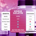 5-pack-horse-gelatin-capsules-official-h-2.jpg