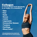 eat-well-premium-foods-collagen-peptides-6.jpg