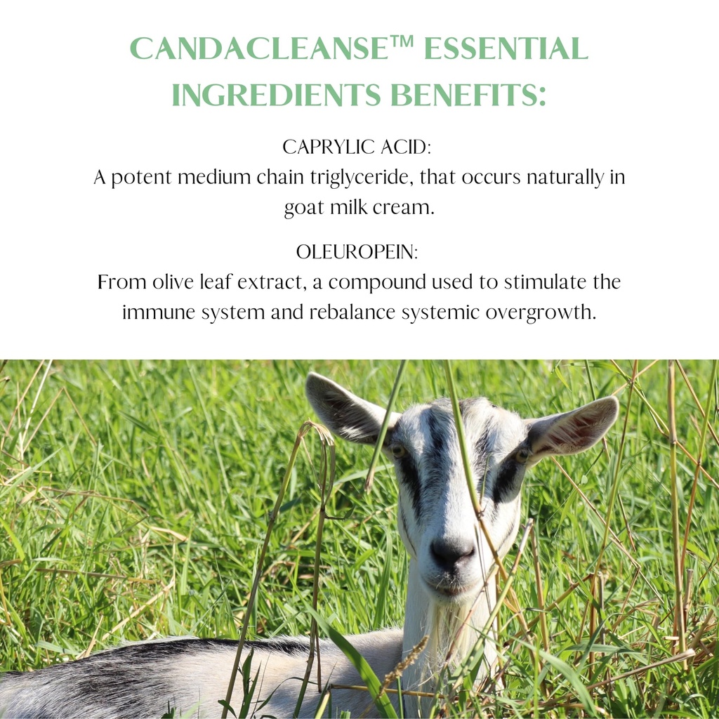 candacleanse-by-mt-capra-overgrowth-supp-5.jpg