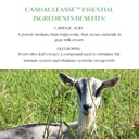 candacleanse-by-mt-capra-overgrowth-supp-5.jpg