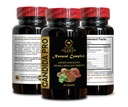 candida-support-complex-aloe-vera-capsul-4.jpg