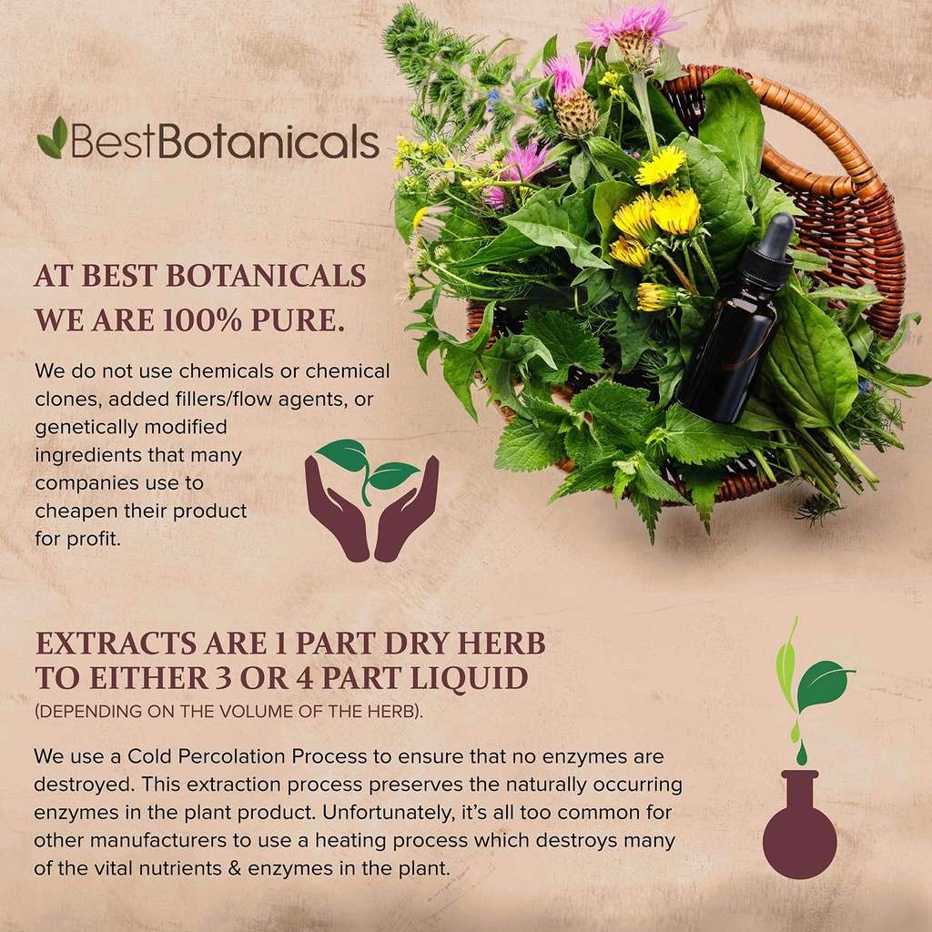 best-botanicals-turkey-rhubarb-root-powd-3.jpg