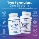 yad-fertilia-men-fertilia-mtl-mens-ferti-3.jpg