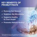 tesseract-medical-research-probutyrate-g-6.jpg