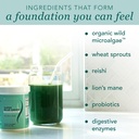 new-earth-super-blue-green-greens-made-g-4.jpg