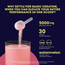 nutri-genius-muscle-builder-stack-whey-p-6.jpg