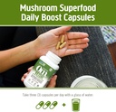 om-mushroom-superfood-reishi-mushroom-ca-6.jpg