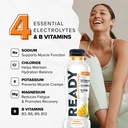 ready-sports-drink-light-the-ultimate-lo-3.jpg