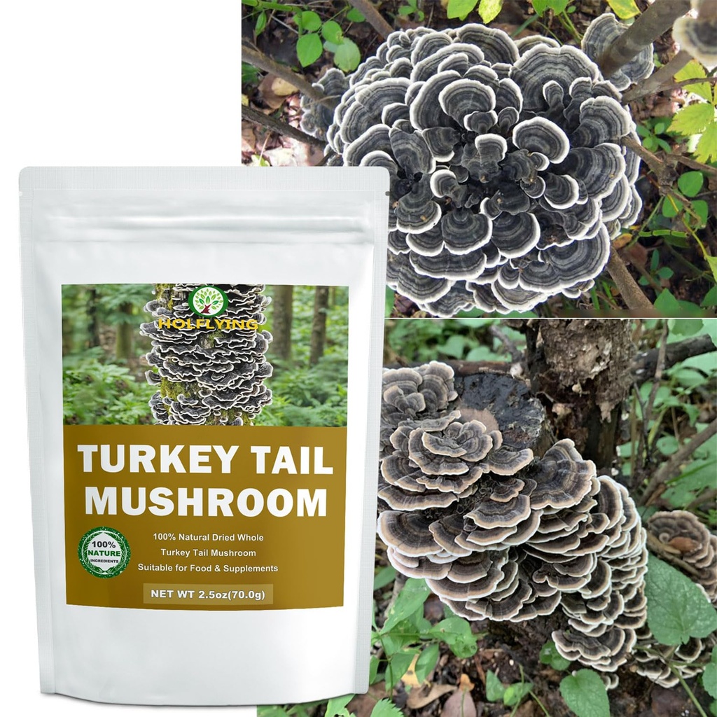 dried-whole-turkey-tail-mushrooms-2-5-oz-4.jpg