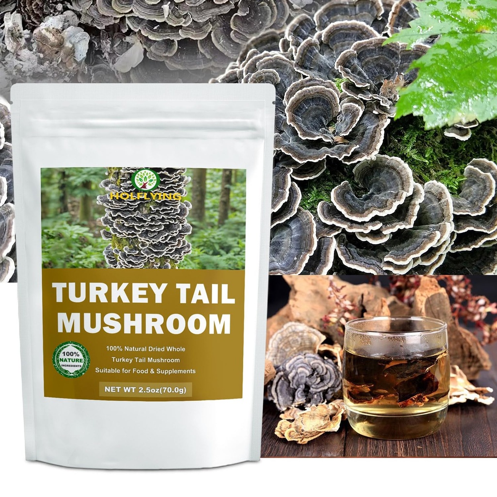 dried-whole-turkey-tail-mushrooms-2-5-oz-3.jpg