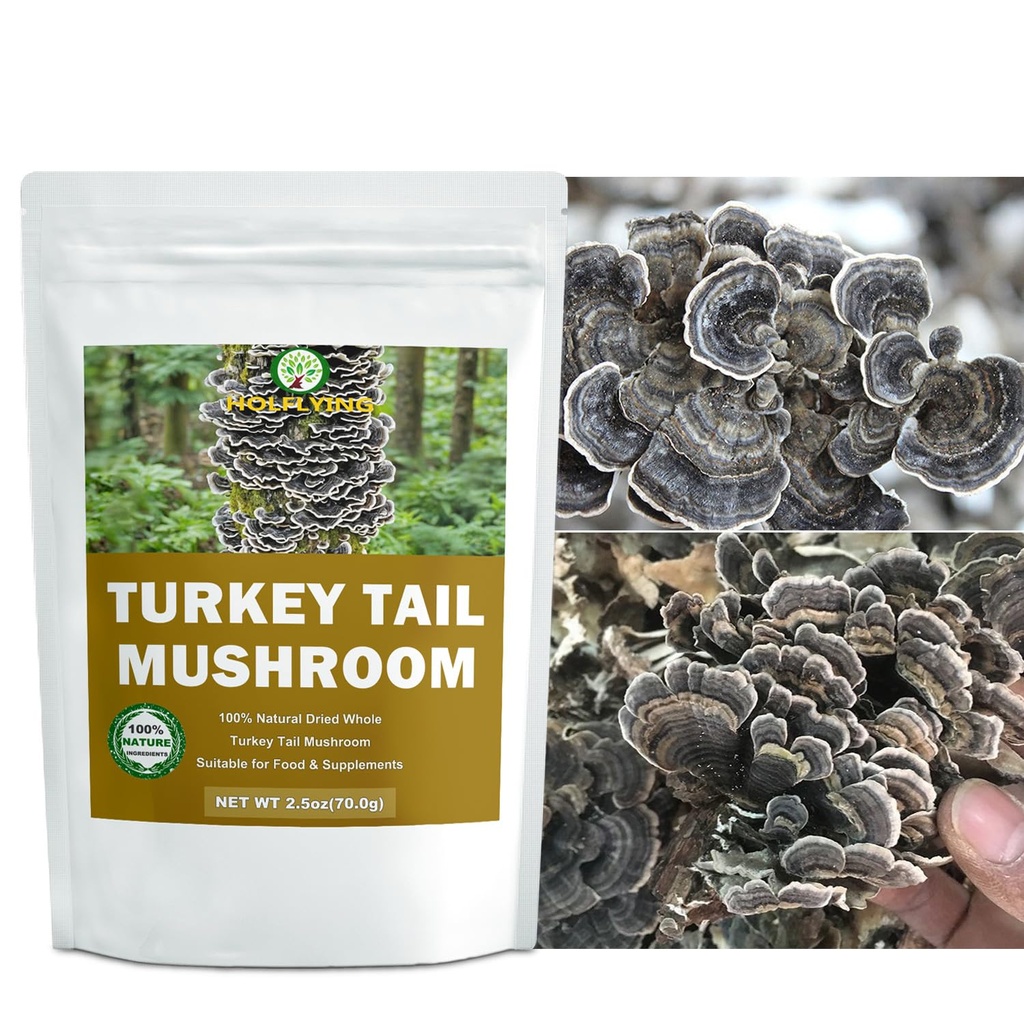dried-whole-turkey-tail-mushrooms-2-5-oz-2.jpg