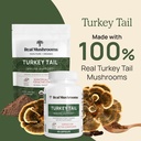 real-mushrooms-turkey-tail-for-humans-pe-2.jpg