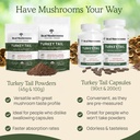 real-mushrooms-turkey-tail-for-humans-pe-5.jpg