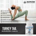pacific-rim-mushrooms-turkey-tail-supple-5.jpg