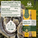 herbamama-turkey-tail-mushroom-vegan-imm-3.jpg