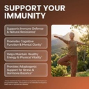 organic-mushroom-supplement-ashwagandha--2.jpg